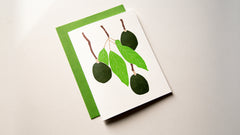 AVOCADO HANG OUT