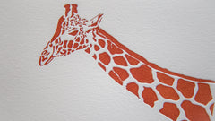 AFRICAN GIRAFFE