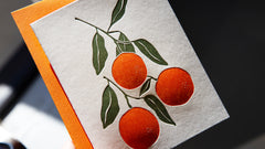 HANGING ORANGES FROM OJAI